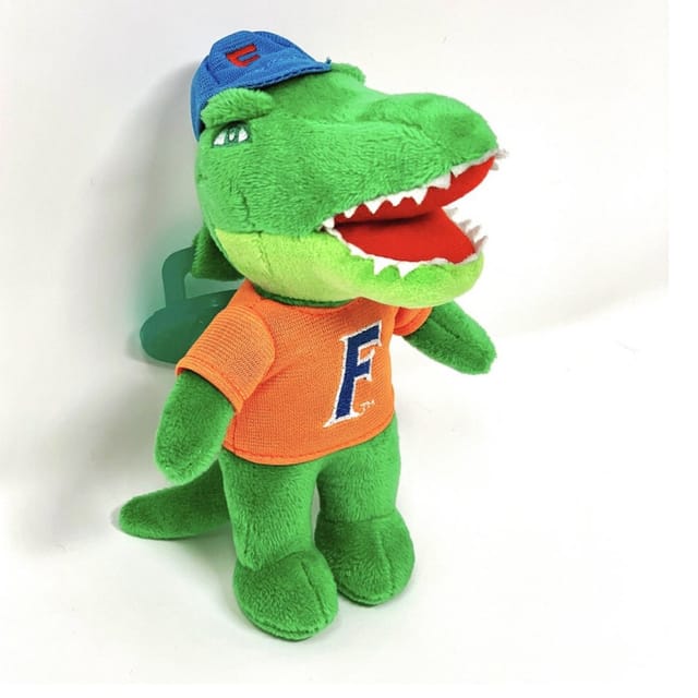 Collegiate Paci Holder-Gator
