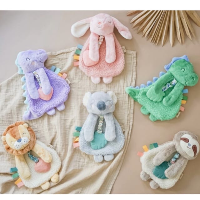 IR Itzy Lovey Plush w/Teether-Asst.