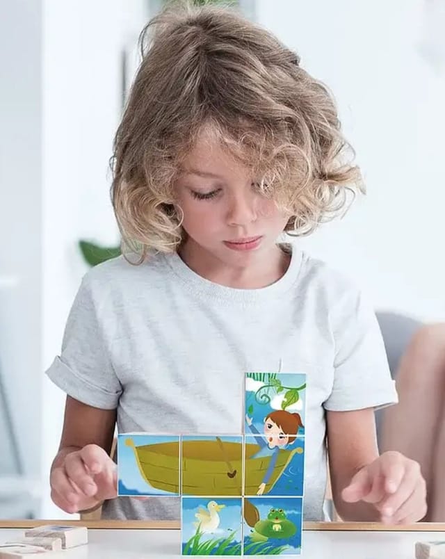 PT 6Pc Magnetic Puzzle Cube Set
