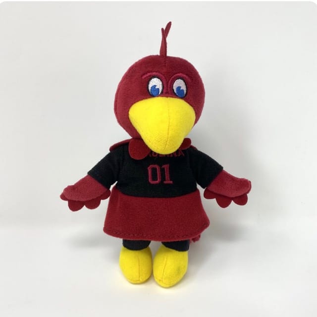 Collegiate Paci Holder-Gamecock