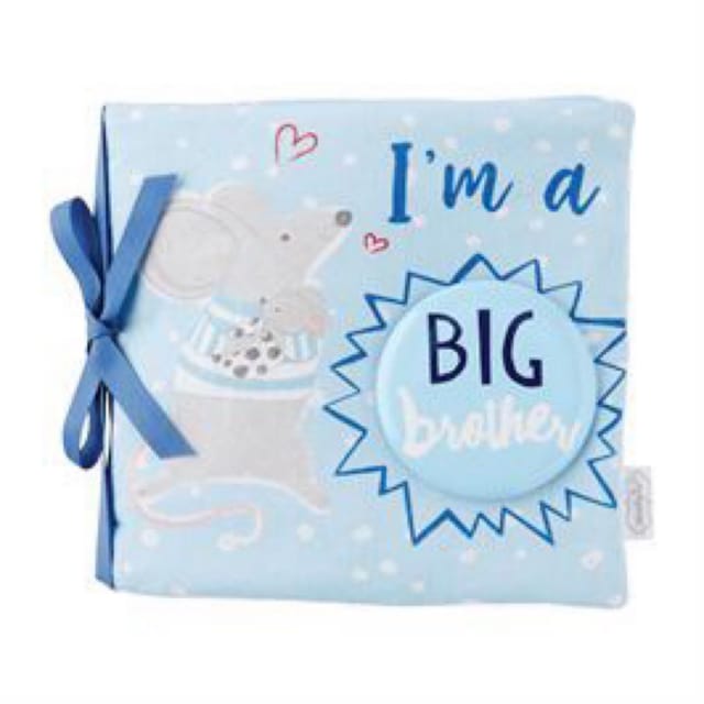 MP Book & Pin Set-Big Brother