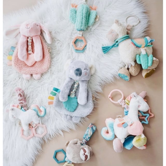 IR Itzy Friends Asst Toys/Teethers