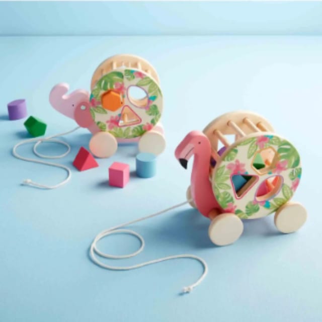 MP Safari Shape Sorter-Asst.